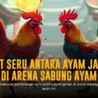 Menguak Rahasia Ayam Bangkok di Sabung Ayam SV388