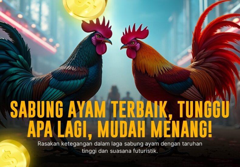 Mengenal Ayam Bangkok: Raja Sabung Ayam yang Mendominasi Arena