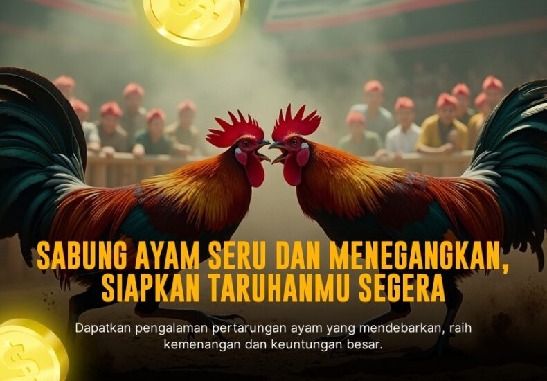Menggali Dunia Ayam Laga SV388: Jenis dan Taruhan Menguntungkan