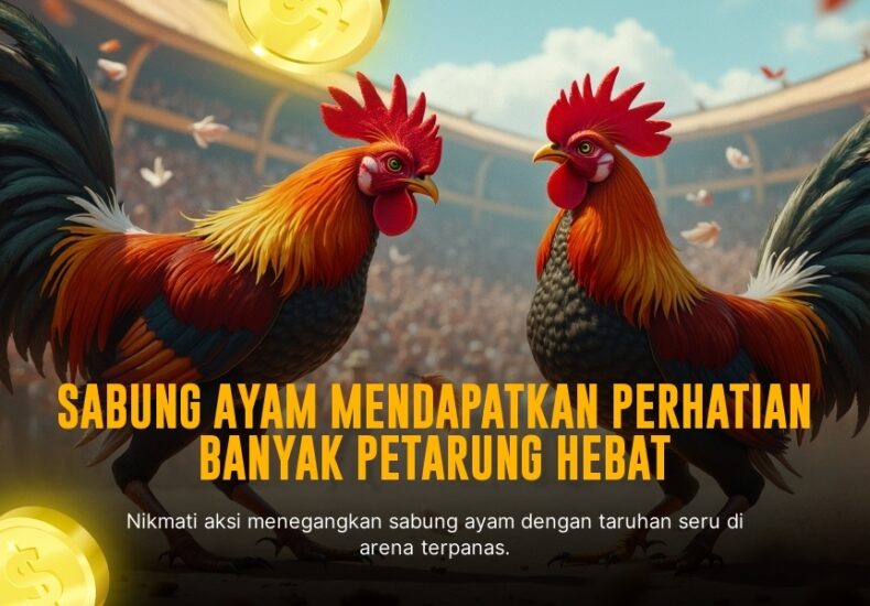 Mengenal Jenis Ayam Bangkok dan Peranannya di Dunia Sabung Ayam