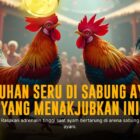 Gacor dan Tangguh: Ayam Serama di Sabung Ayam Online SV388