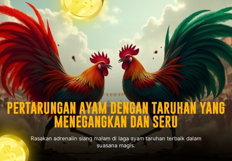 Serunya Sabung Ayam Bersama SV388: Jenis Ayam Aduan dan Peluang Menang